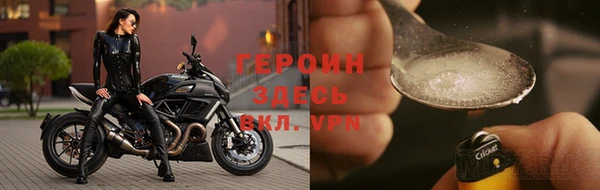 прущие грибы Калининец