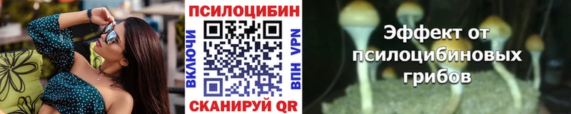 Галлюциногенные грибы Psilocybe  наркошоп  Покачи 