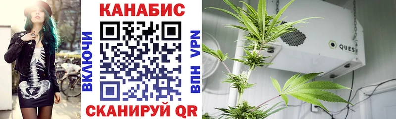 Шишки марихуана марихуана  где продают   Покачи 